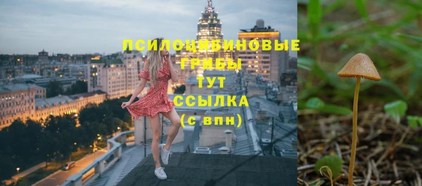 ALPHA PVP Богданович